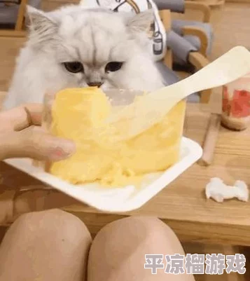 纸萌猫乐园极品店员大揭秘：强度排名与内部爆料信息汇总